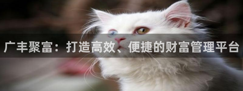 广丰聚富：打造高效、便捷的财富管理平台
