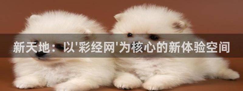 fun88环球网分析