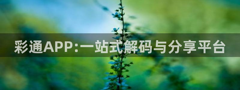 fun88city网页版登录