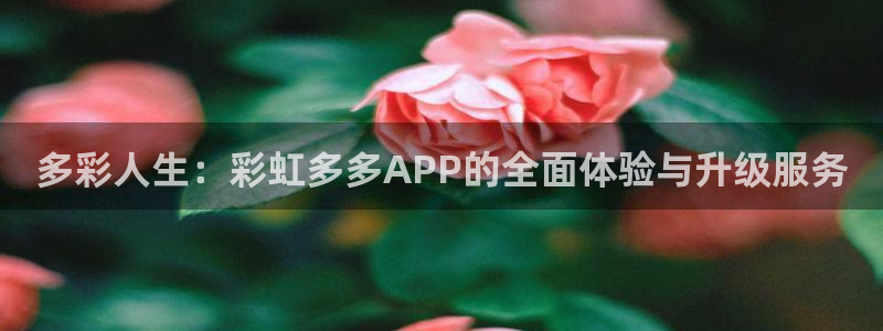 fun88客服：多彩人生：彩虹多多APP的全面体验与升级服务