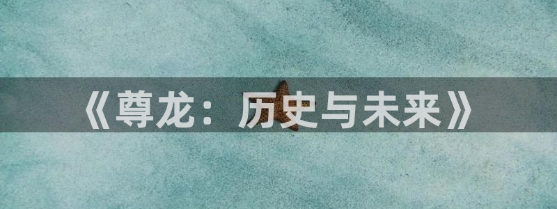 fun88乐天堂：《尊龙：历史与未来》