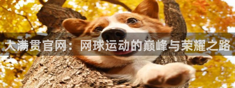 fun88·乐天堂：大满贯官网：网球运动的巅峰与荣耀之路